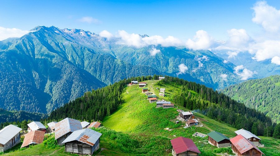 Pokut Yaylası