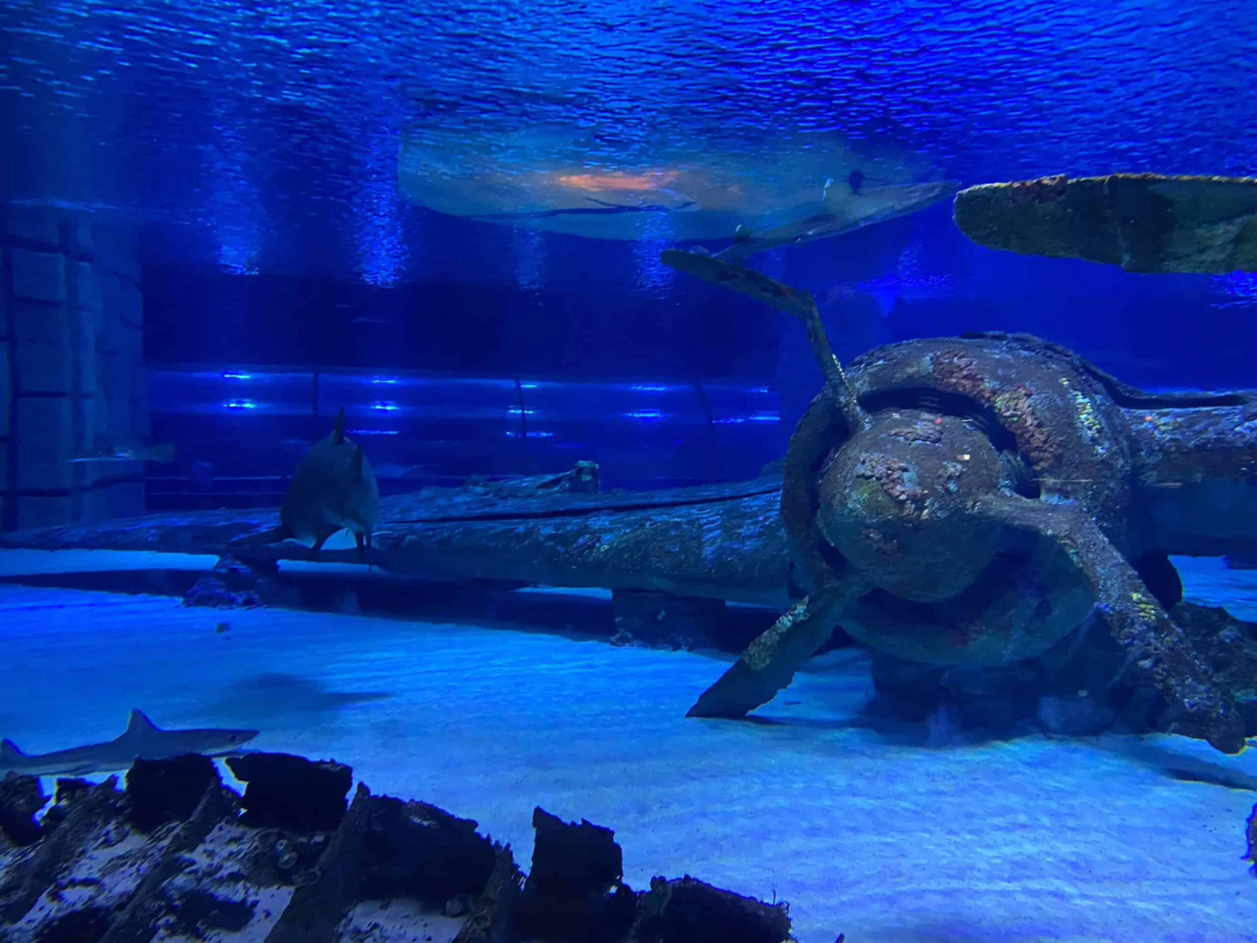 Antalya Aquarium