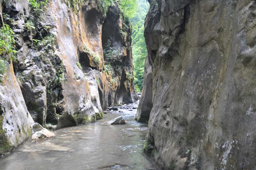 Serindere Kanyonu