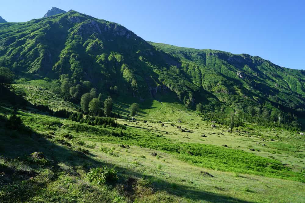 Gorgit Yaylası