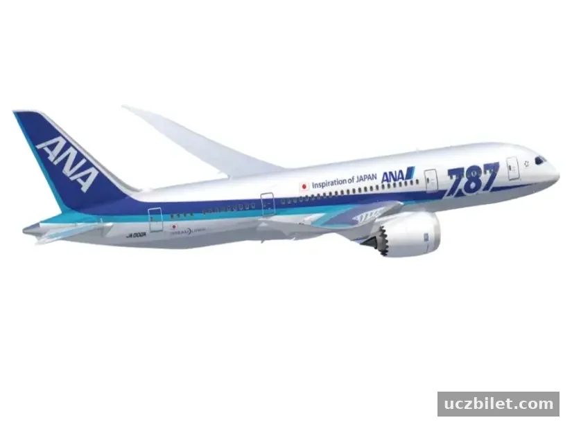 All Nippon Airways yolcu uçağın görünümü