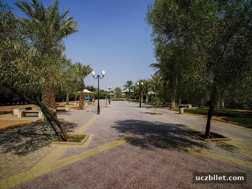 alwaha-parki
