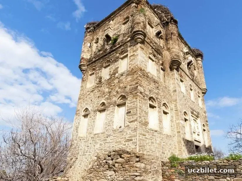 Arpaz Kalesi ve Arpaz Beyler Konağı görünümü