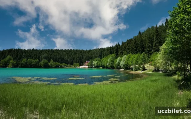 Artvin'de gezilecek yerler