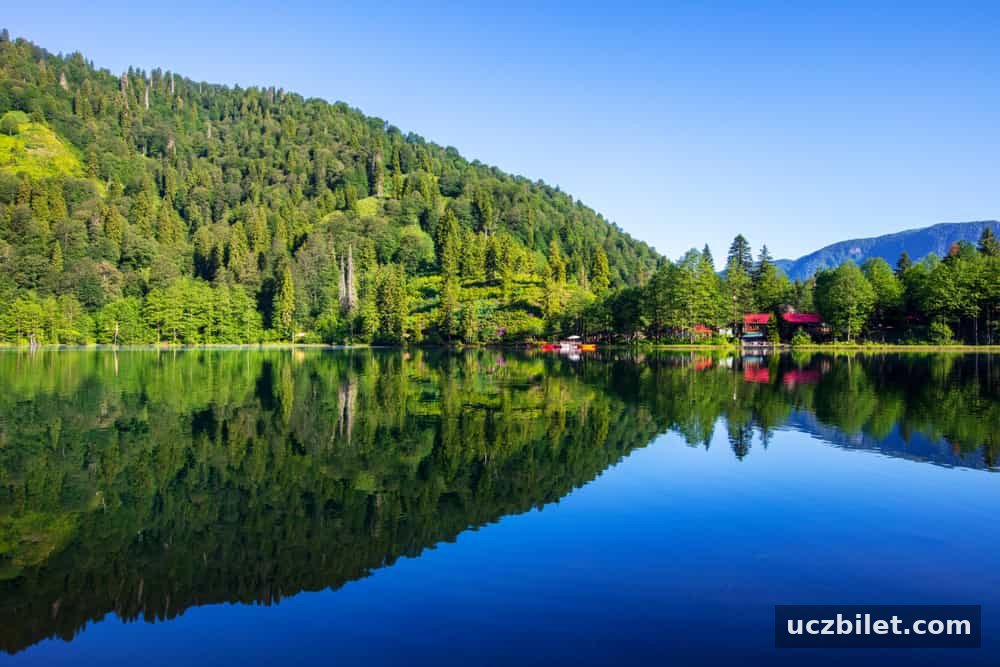 Artvin’de Gezilecek Yerler