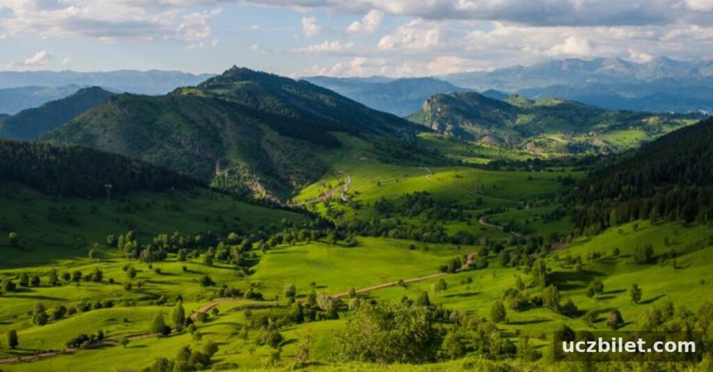 Artvin'in neyi meşhur? Artvin'de ne yenir? | Gezilecek yerler
