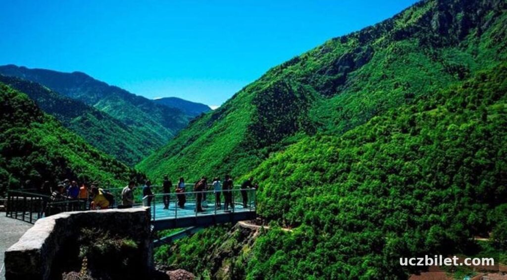 Artvin'in neyi meşhur? Artvin'de ne yenir? | Gezilecek yerler