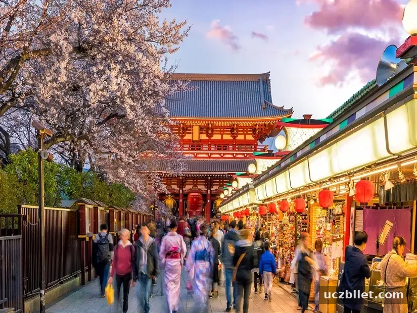 Asakusa'daki alışveriş caddesinde turistler, Tokyo Japonya ilkbaharında sakura ağaçları ile Sensoji Tapınağı'na bağlanıyor