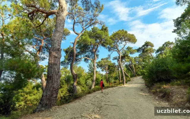 Assos’un en güzel kamp alanları