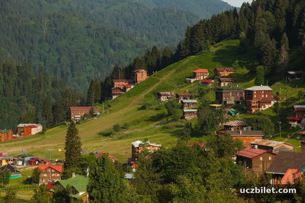 Ayder Yaylası