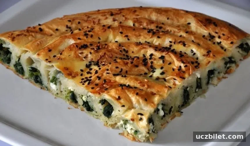aydın ısırgan otlu börek