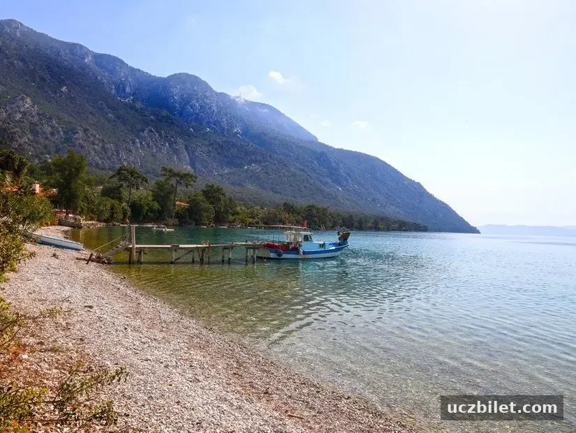 Ayın Koyu, ormanlarıyla çevrili denizi çevrede kamp yapılabilecek alanı