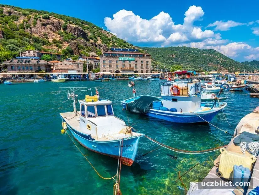 Ayvacık