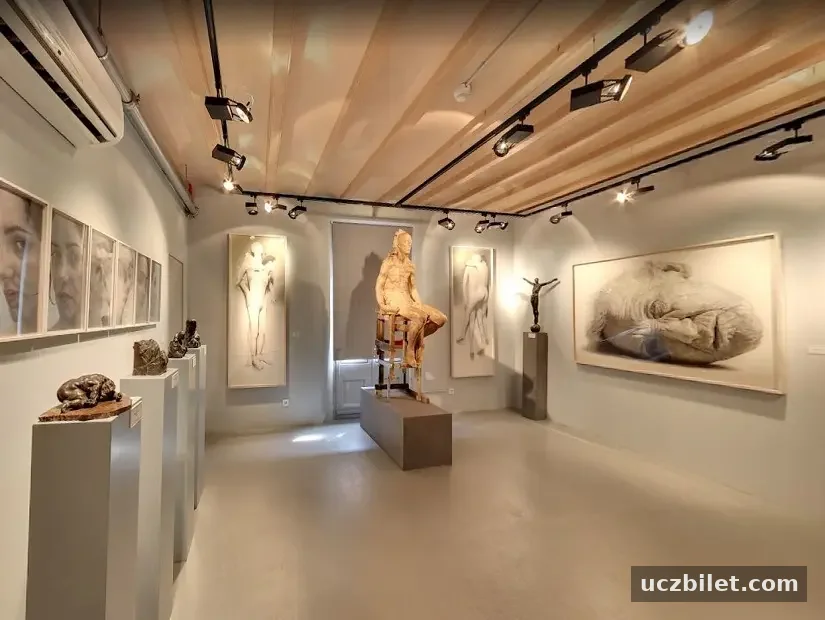 Barselona Avrupa Modern Sanat Müzesi (MEAM)iç görünümü