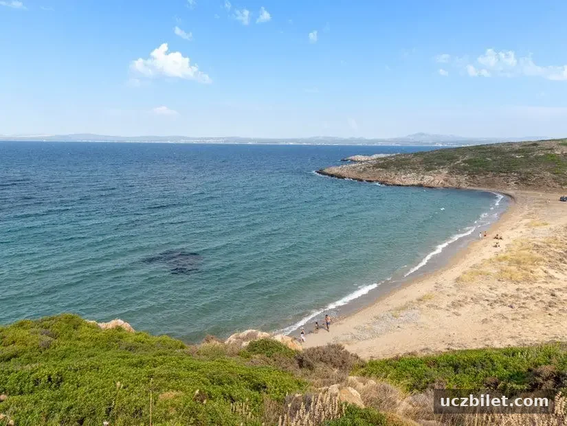 beylik-koyu