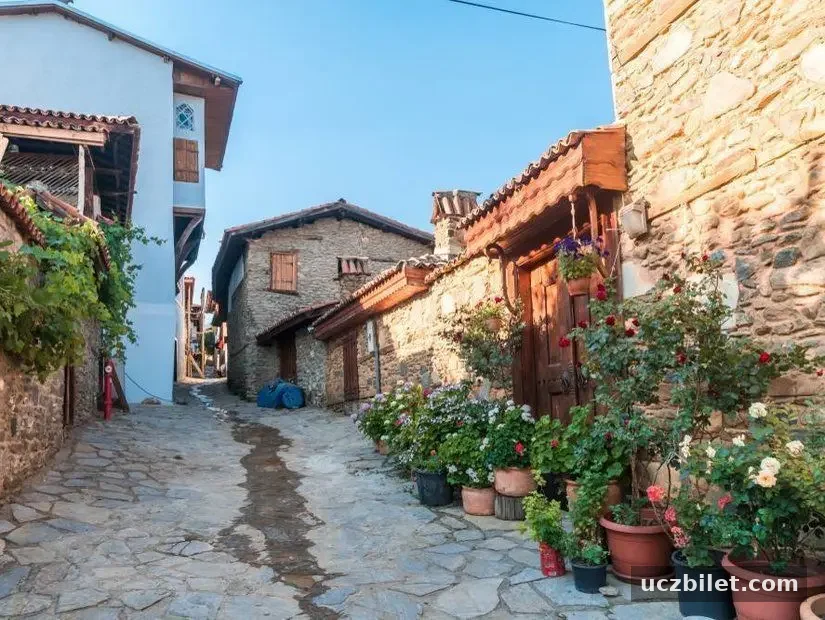 Birgi köyü