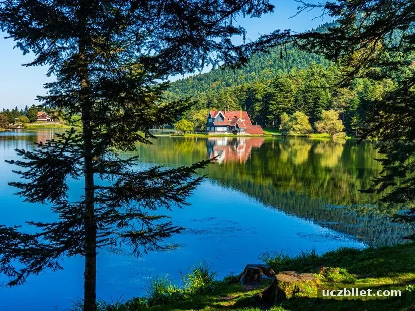Bolu Gölcük Milli Parkı'ndaki ormanın içindeki sonbahar ahşap Göl evi görünümü