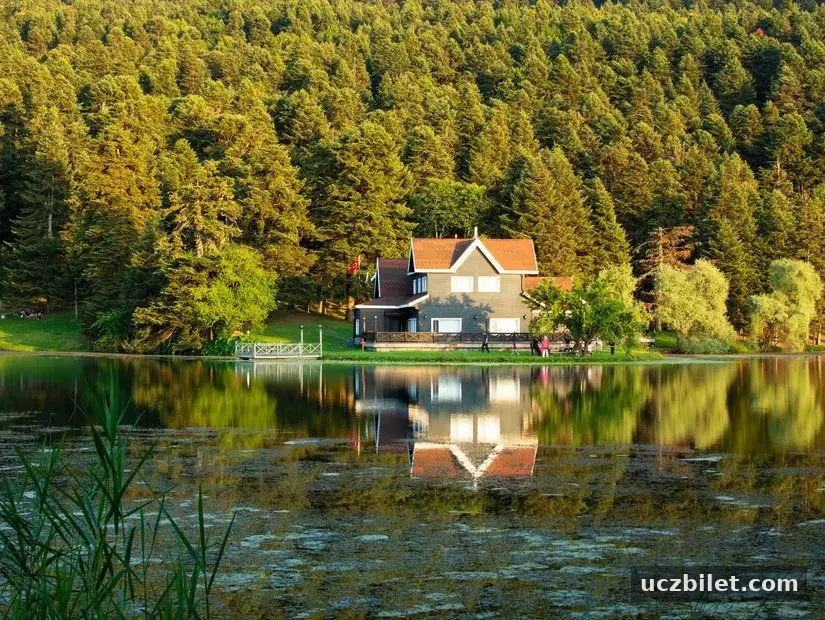 bolu