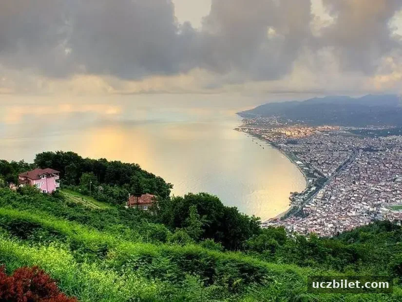Boztepe Kamp Alanı