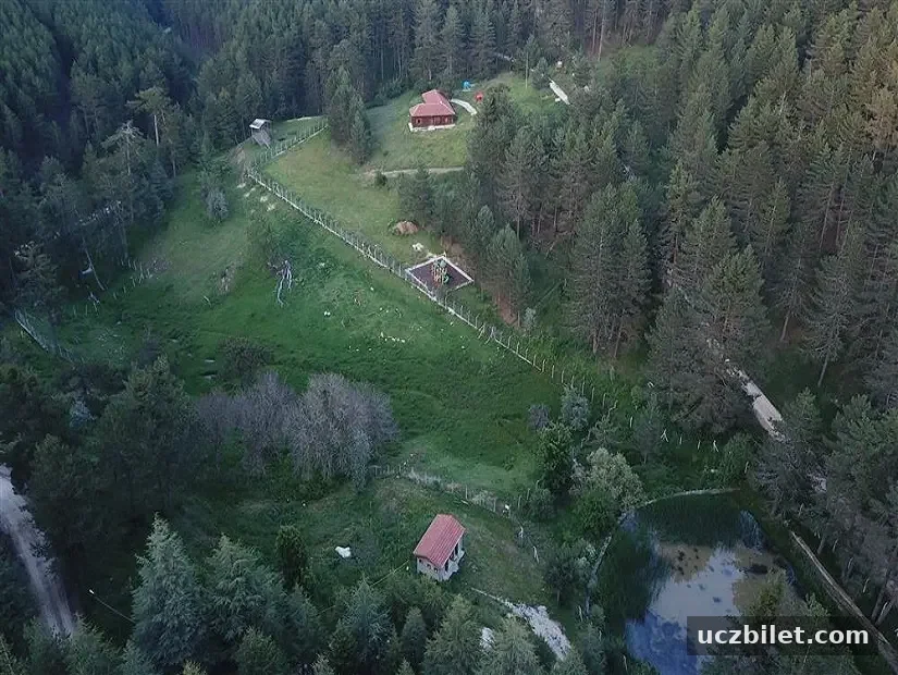catacik-orman-ici-dinlenme-yeri