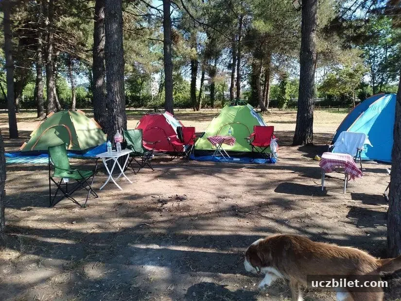 Çınarsuyu Camping