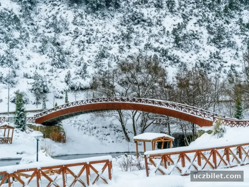 Denizli kayak merkezi köprü ve oturma yerleri