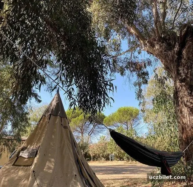 Dereli Motel ve Kamping
