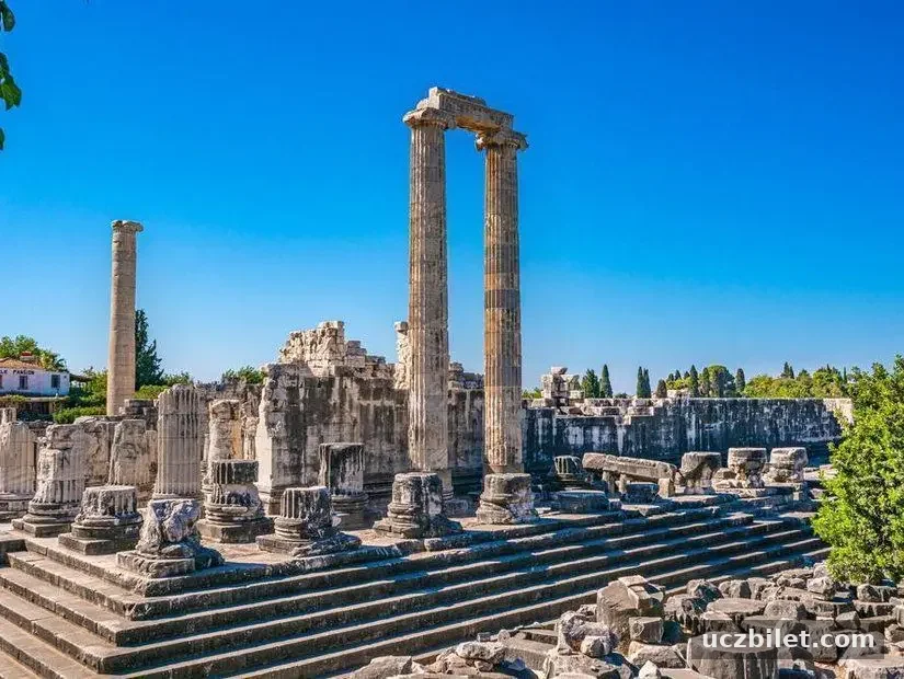 Didyma Antik Kenti ve Apollon Tapınağı görünümü