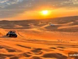 Dubai çöl safarisi rehberi