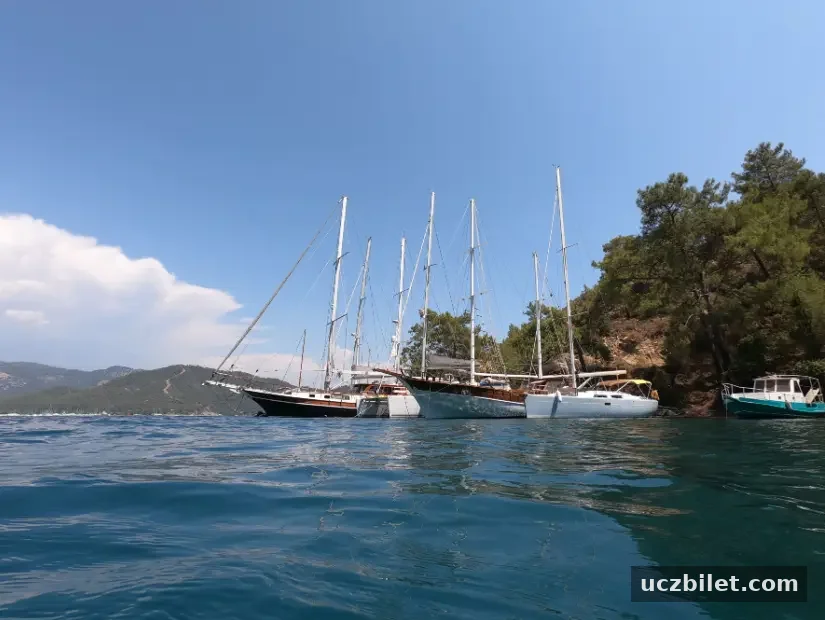 Göcek Körfezi'ndeki lüks yatlar koyu.