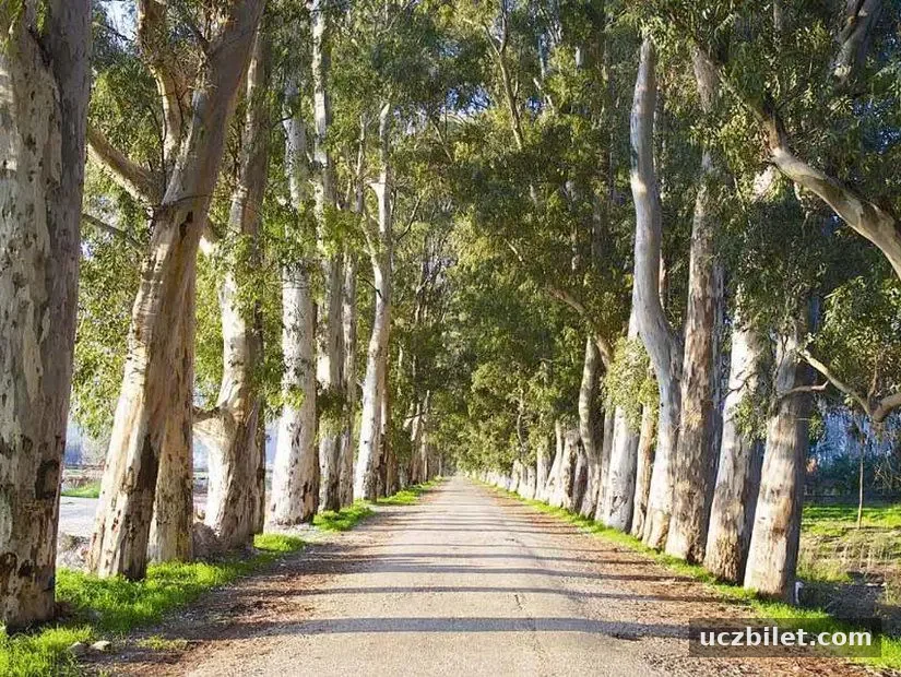 Gökova Aşıklar Yolu