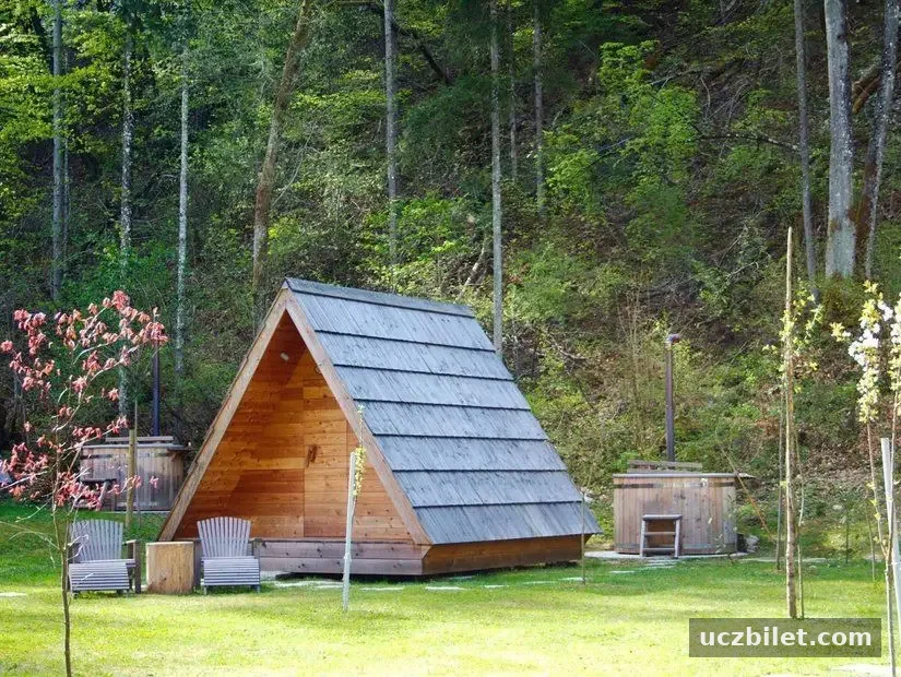 Gozdne Vile Glamping