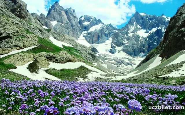 Hakkari’de ne yenir? Hakkari’nin en meşhur restoranları?