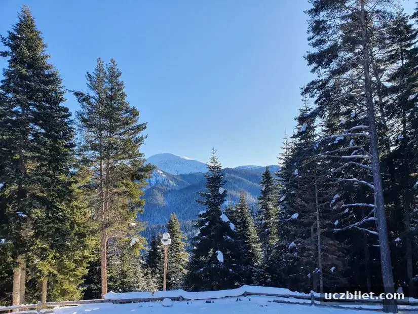 Ilgaz Milli Parkı kış mevsimi görünümü
