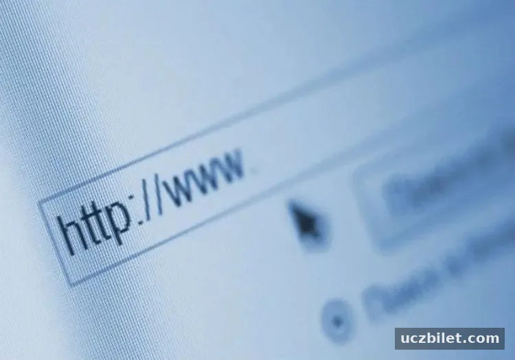 İnternet erişimini araştırın