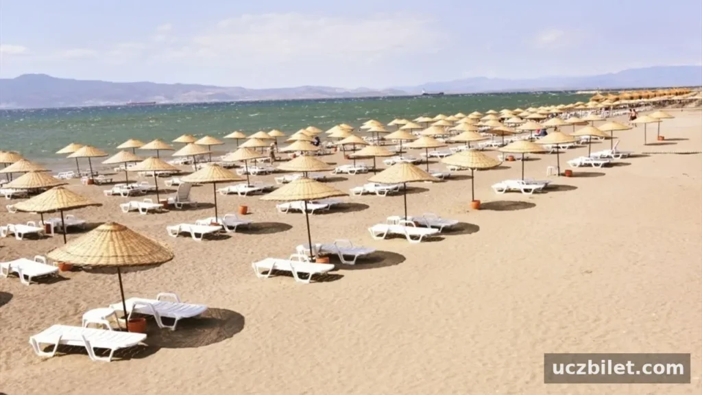 İzmir’de 2025 yazının favori 15 ücretsiz plajı ve koyu