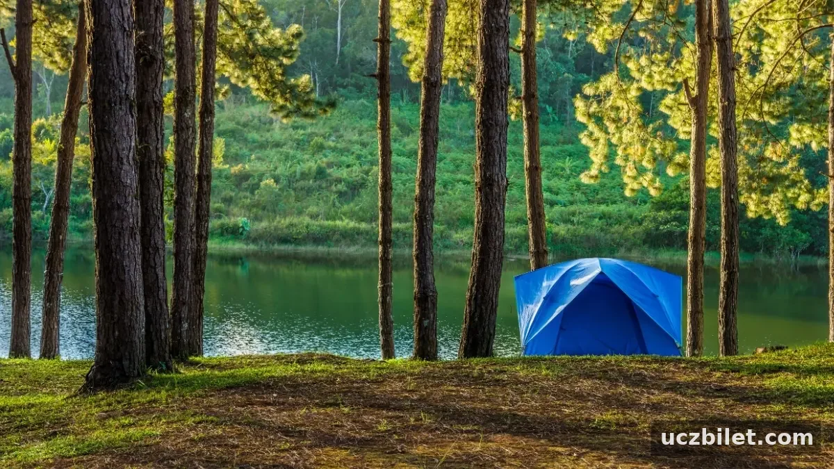 İzmir’in en güzel kamp alanları