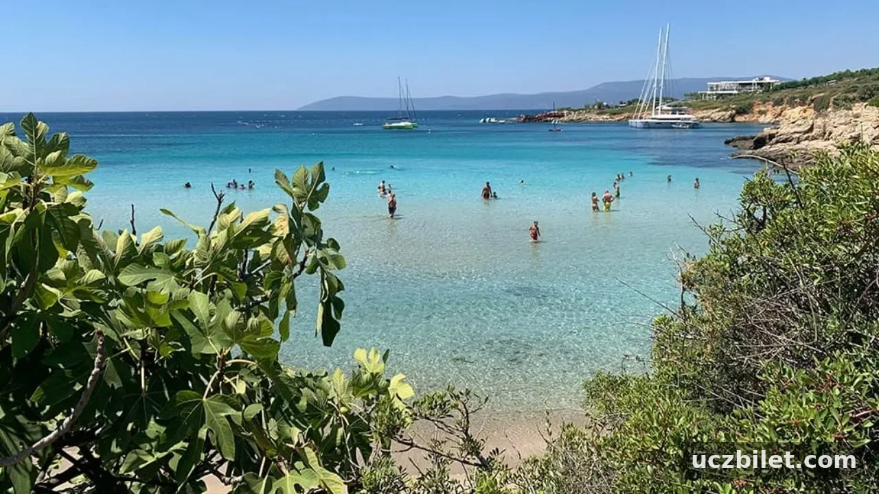 İzmir’in en sessiz koyu: Seferihisar Ekmeksiz Tabiat Parkı yeniden ziyarete kapatıldı