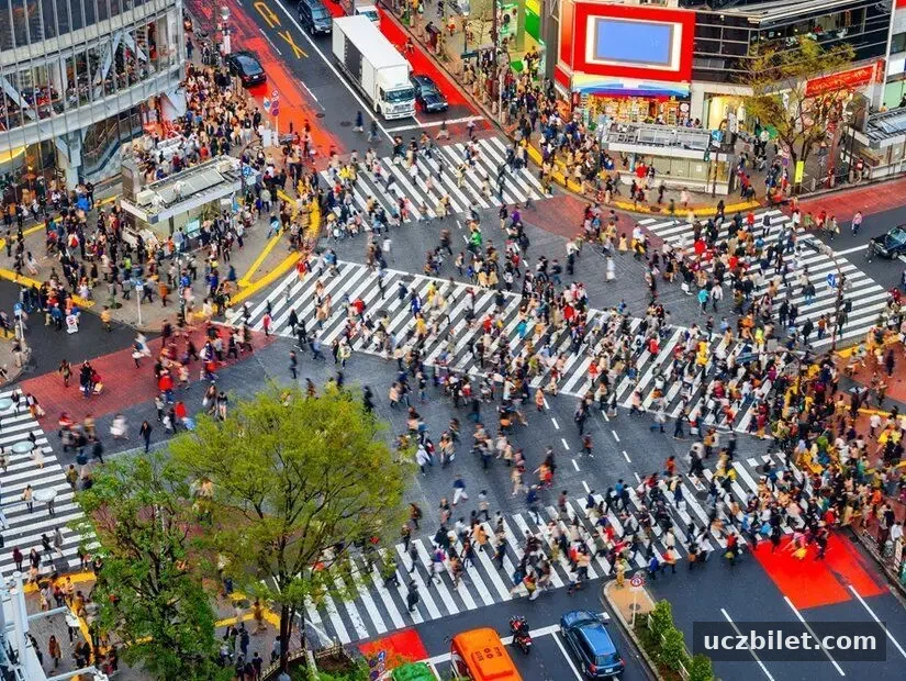 Japonya, Tokyo, Shibuya'da öğleden sonra geç saatlerdeki yaya geçidi ve şehir manzarası.