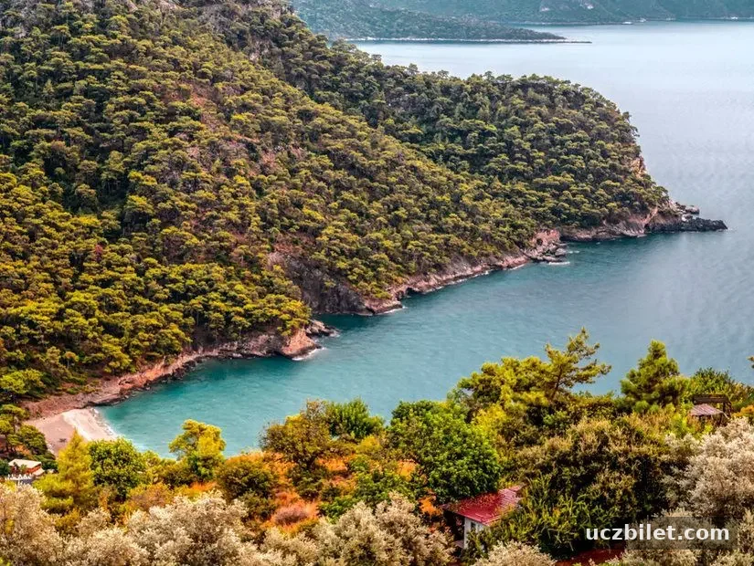 Kabak Koyu