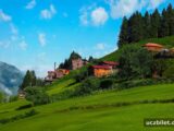Karadeniz’in En Yeşil Köşeleri: Yayla Turizmi Rehberi