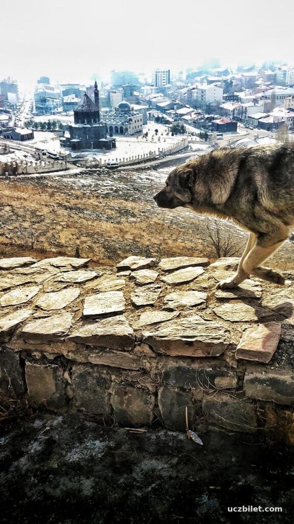 Kars'a gezmeye gidenler için rehber