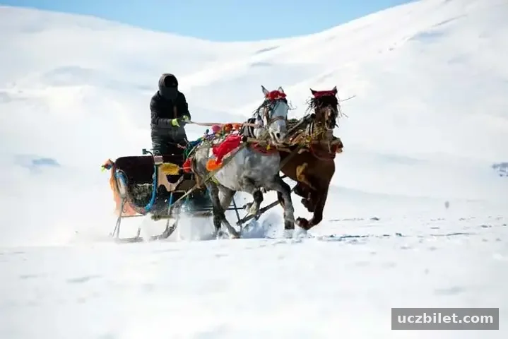 Karsta gezilecek yerler ve yapılacaklar listesi