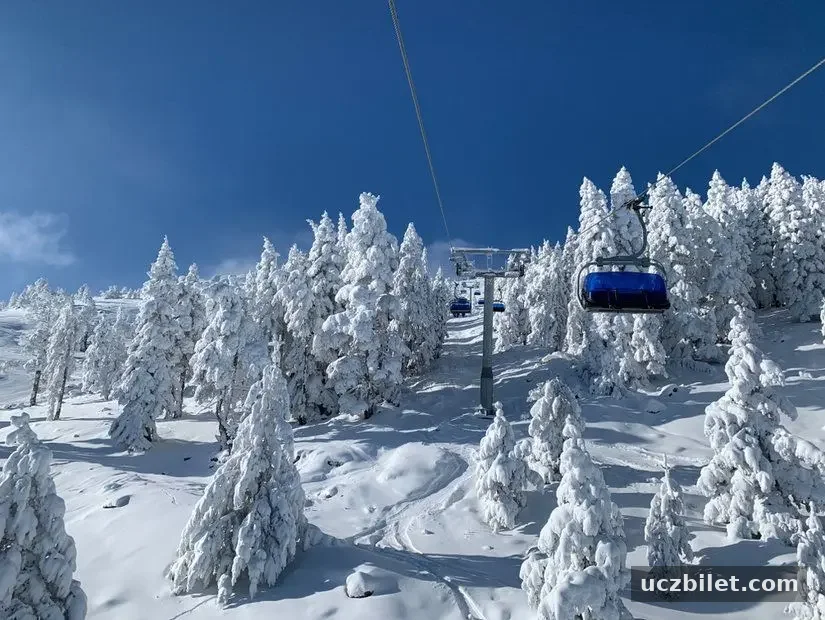 Kartalkaya