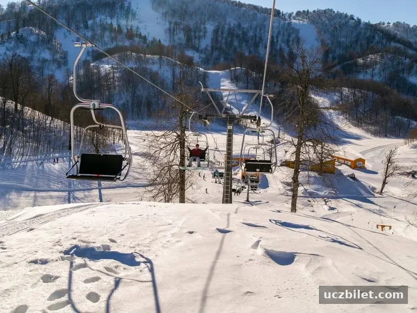Kartepe