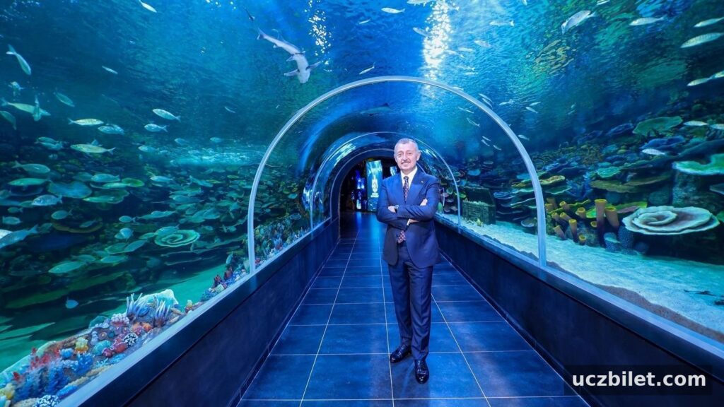 Kocaeli’de gençlerin nefes alacağı rotalar: Körfez Aqua, Ormanya, Maşukiye, Kerpe, Serindere Kanyonu
