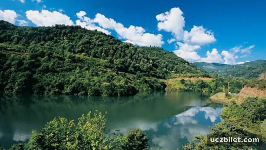 Kocaeli’de gençlerin nefes alacağı rotalar: Körfez Aqua, Ormanya, Maşukiye, Kerpe, Serindere Kanyonu