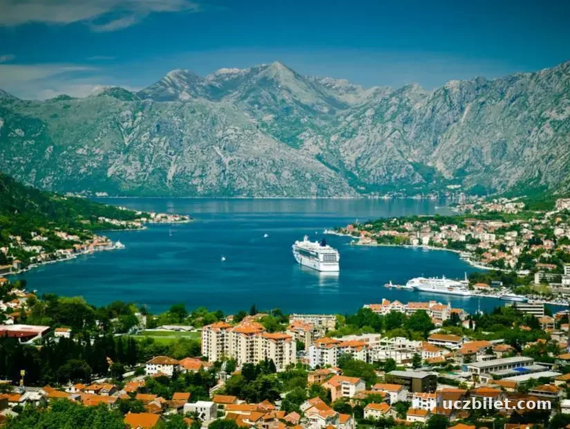 kotor