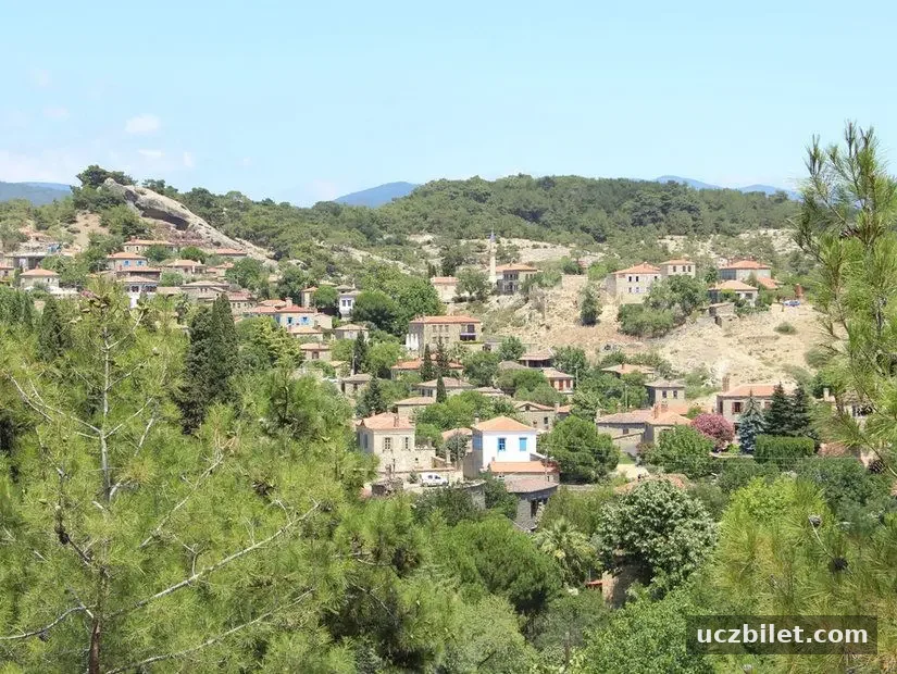 Küçükkuyu