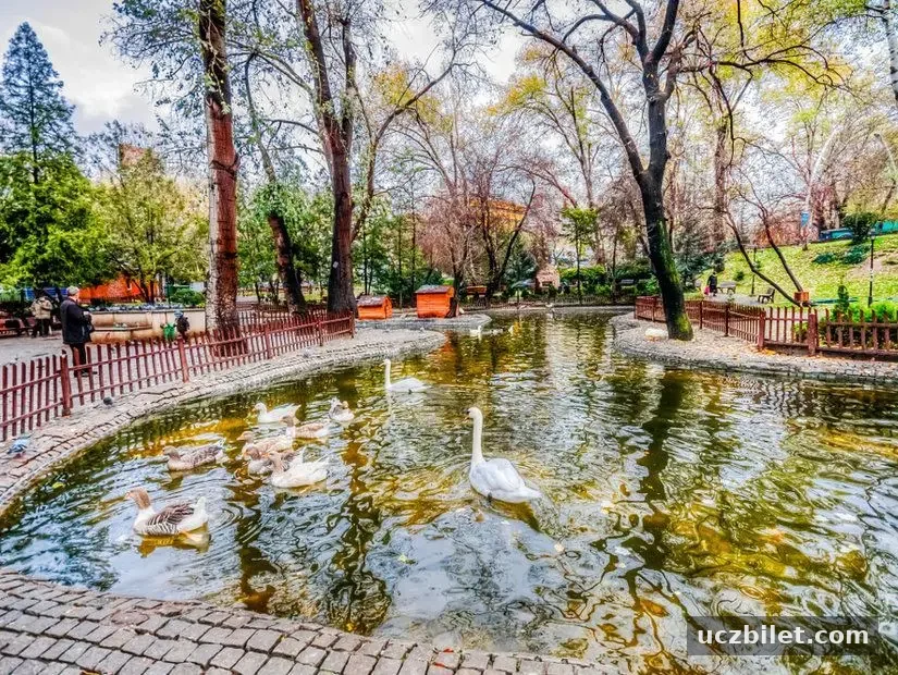 kuğulu park